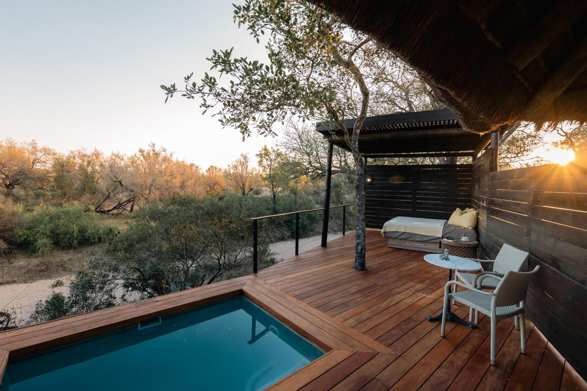 Thornybush Simbambili Lodge Riserva di Sabi Sand Esterno foto