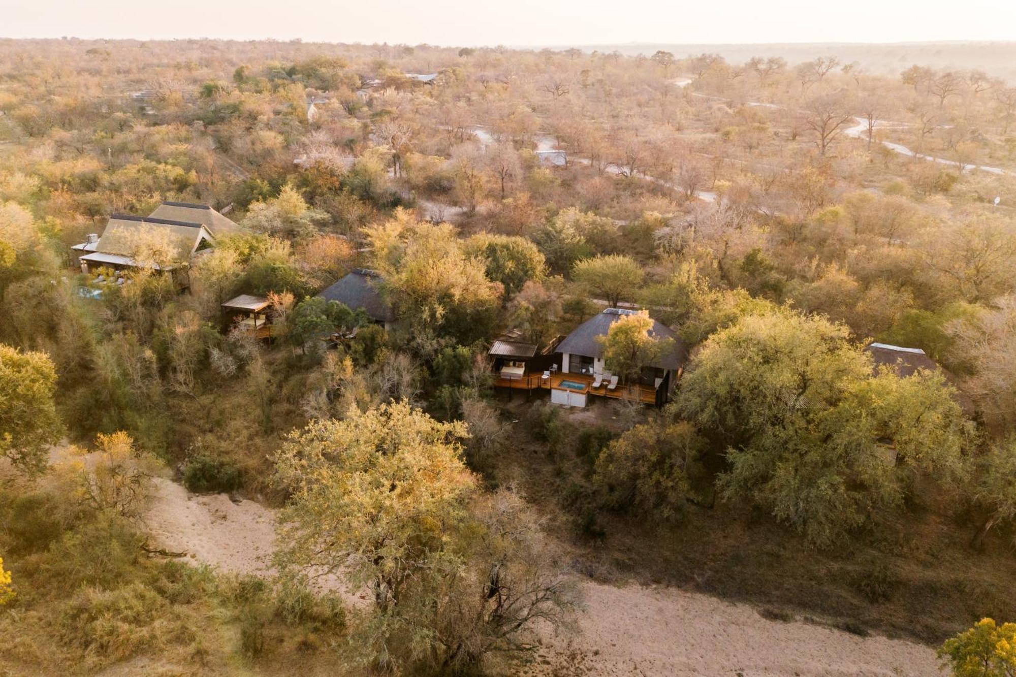 Thornybush Simbambili Lodge Riserva di Sabi Sand Esterno foto